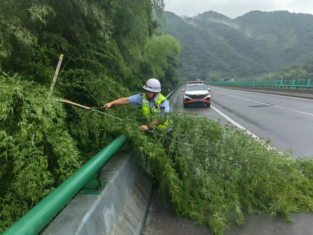 05 臺風格美登陸在即，7月26日 六安西中心管控部巡路員柴夢麒清理侵占路面的毛竹(1).png